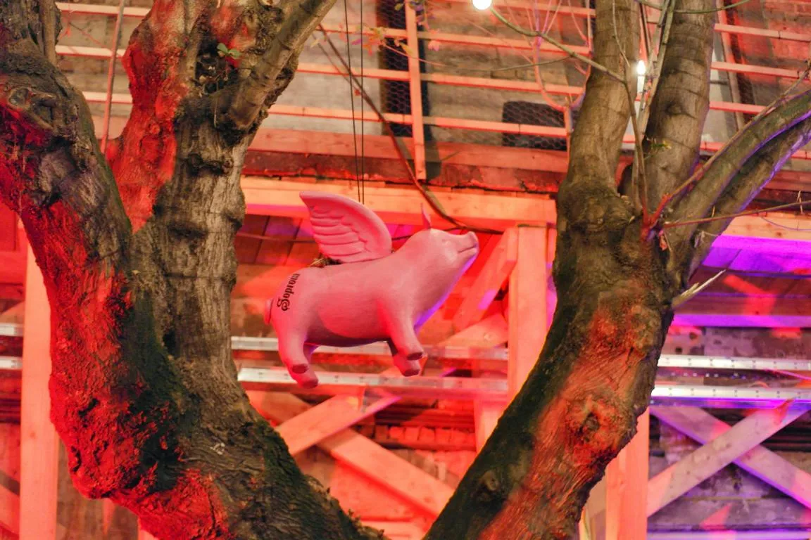 Inside a real Budapest ruin bar at night — red light, eclectic salvaged décor and hanging lamps