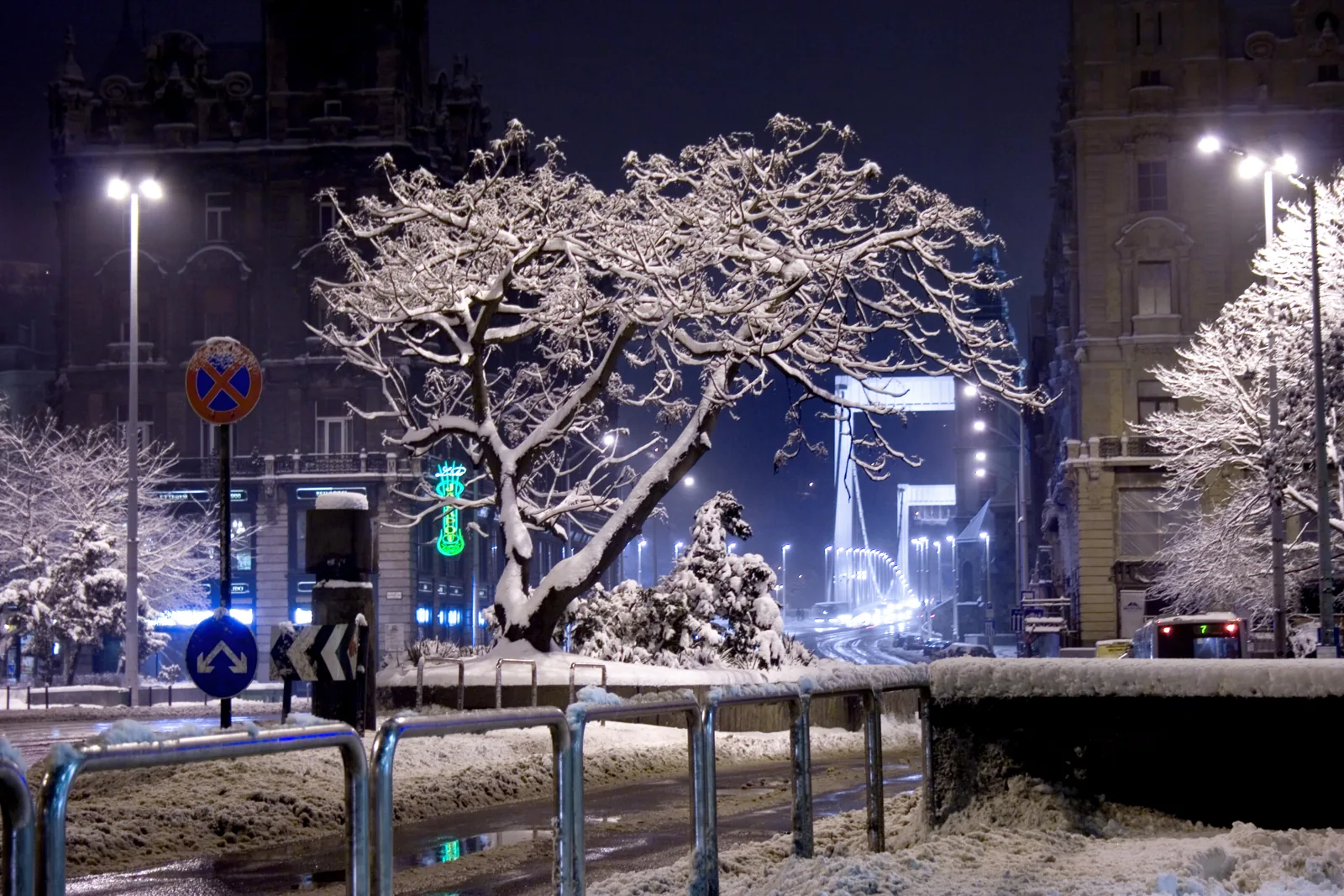 Snow-covered tree and an illuminated boulevard in central Budapest on a winter night, near the river and a lit bridge