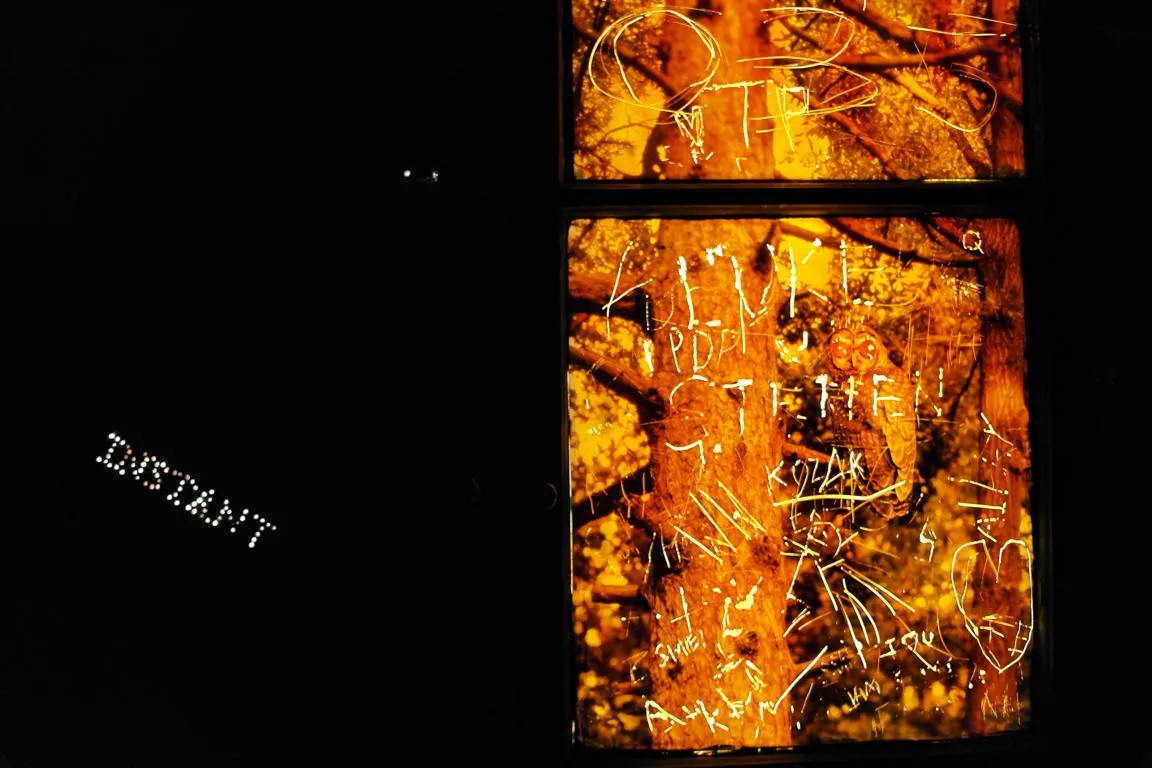 The word INSTANT picked out in small white bulbs, glowing at an angle on a black wall at night, beside a lit window panel showing a painted tree trunk scratched over with visitors' names and a small owl figure